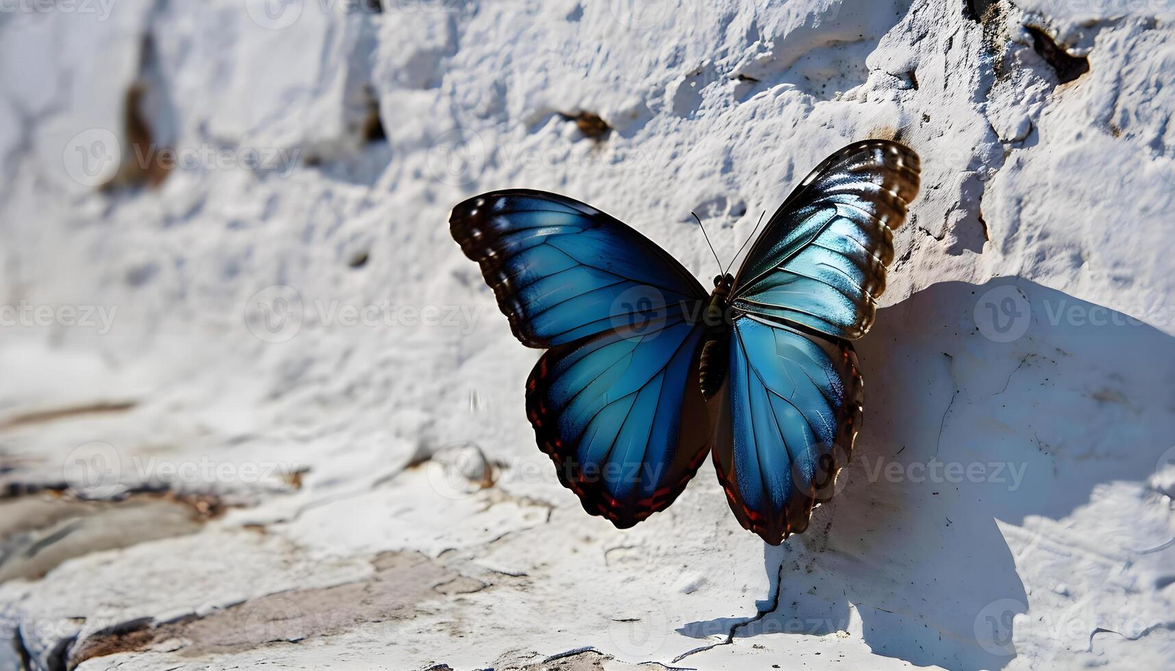 ai generado un azul mariposa descansando en un blanco pared foto