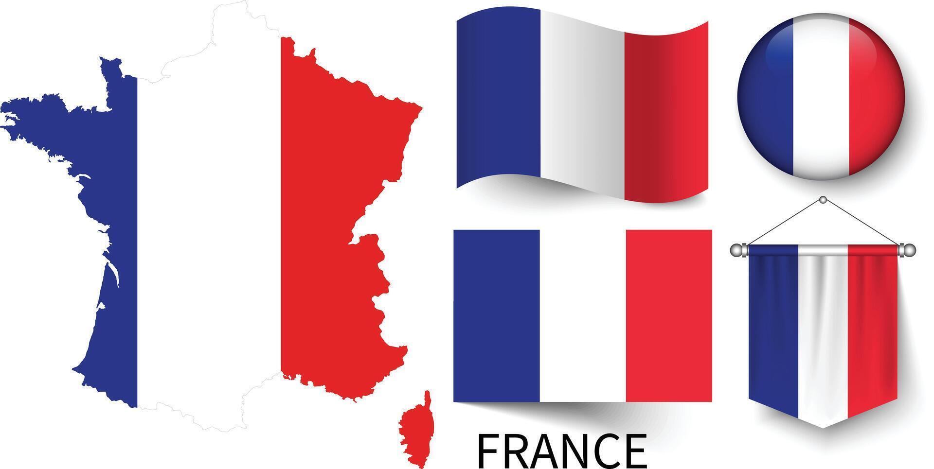 The various patterns of the France national flags and the map of the France borders vector