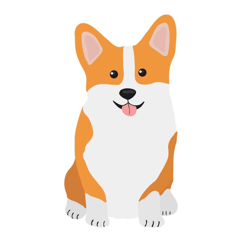 Corgi dog vector cartoon illustration. Cute friendly welsh corgi puppy, isolated on white background. Great for icon, symbol, card, children's book