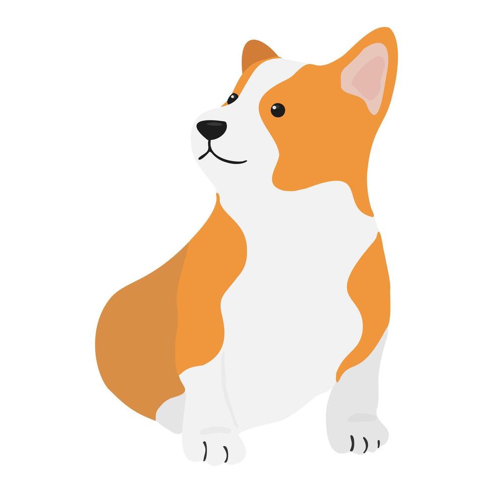 Corgi dog vector cartoon illustration. Cute friendly welsh corgi puppy, isolated on white background. Great for icon, symbol, card, children's book.