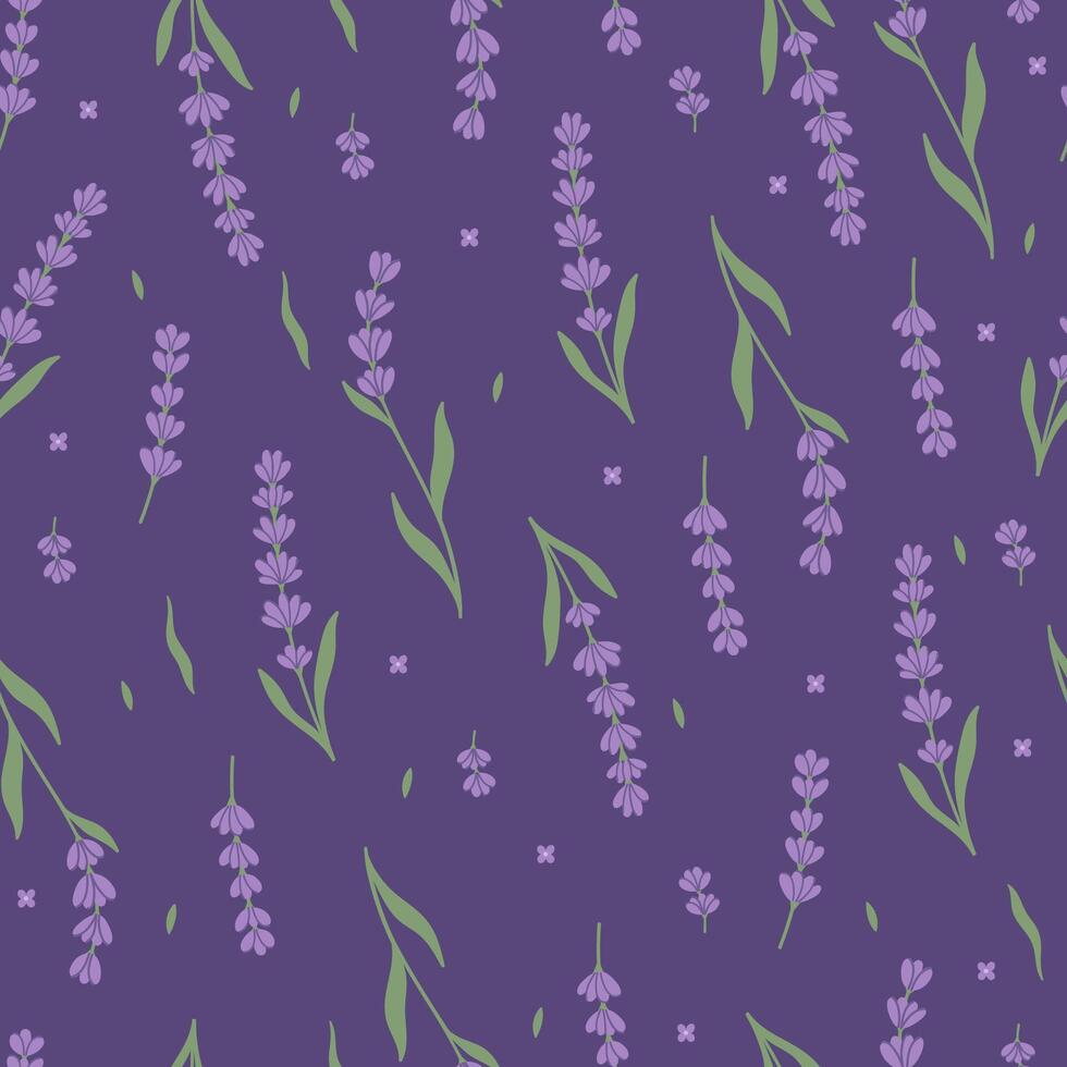 Seamless pattern with lavender flowers on a dark background. Vector graphics.