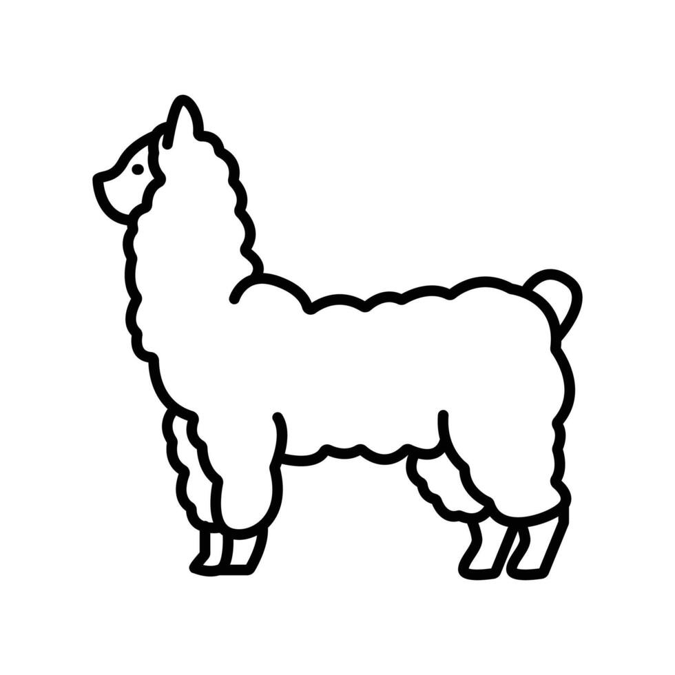 alpaca icono. contorno icono vector