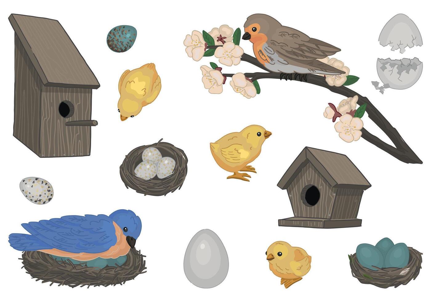 Spring time collection. Sketches set of birds, nest, chicks, bird houses, eggs. Vector illustration in cartoon style isolated on white.