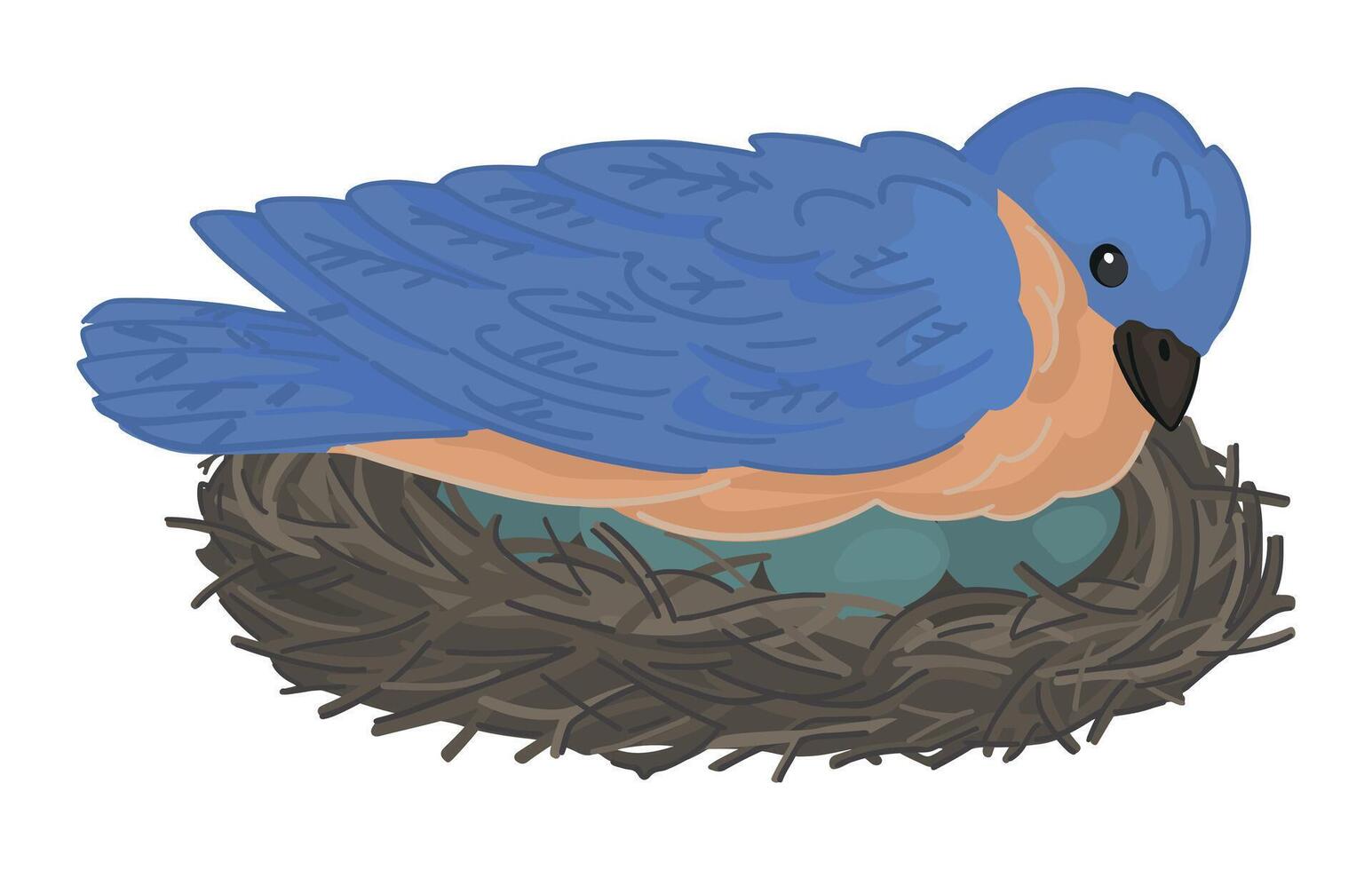 Wild bird incubates eggs in the nest clipart. Spring time doodle. Vector illustration in cartoon style isolated on white.