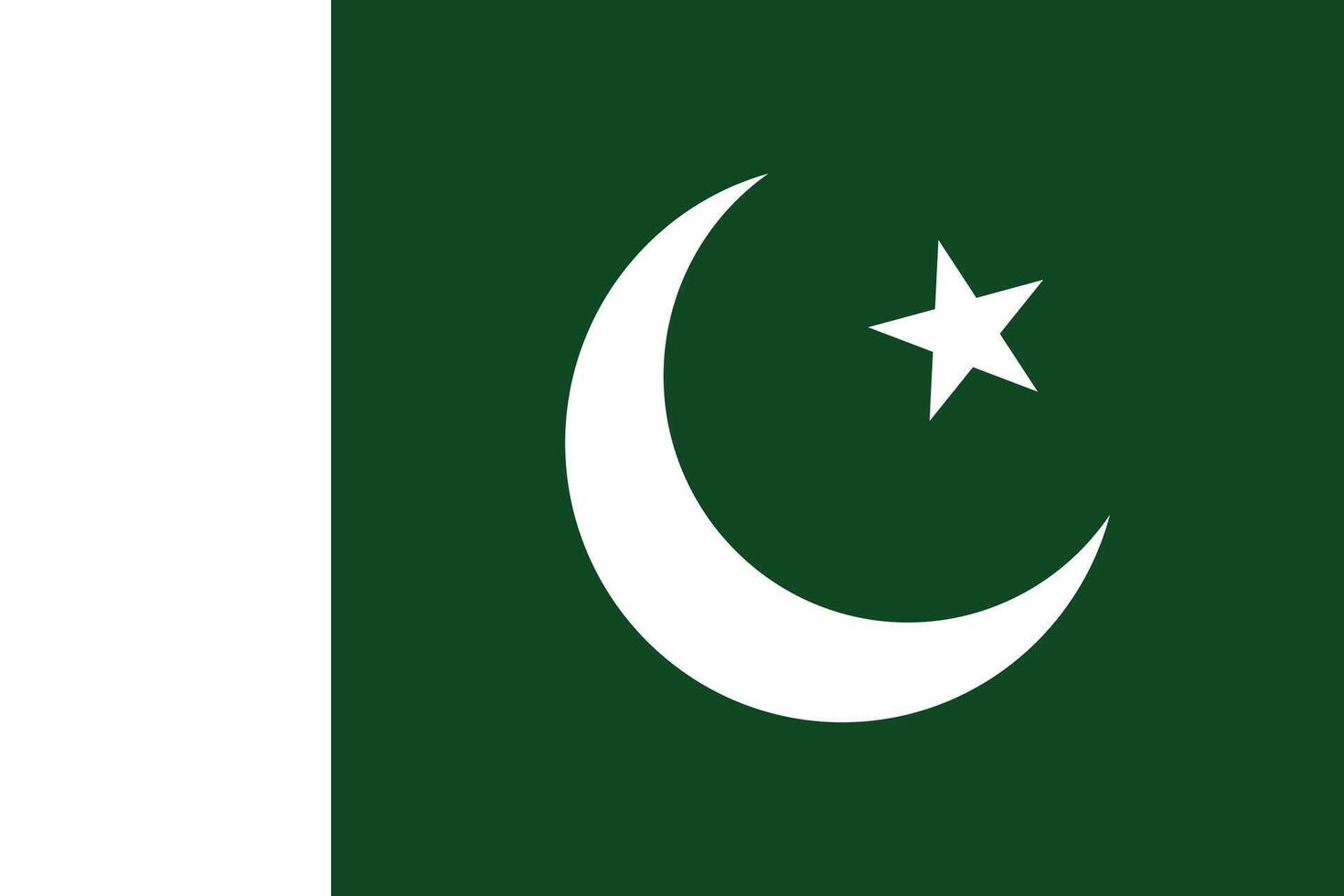 sencillo nacional bandera de Pakistán vector