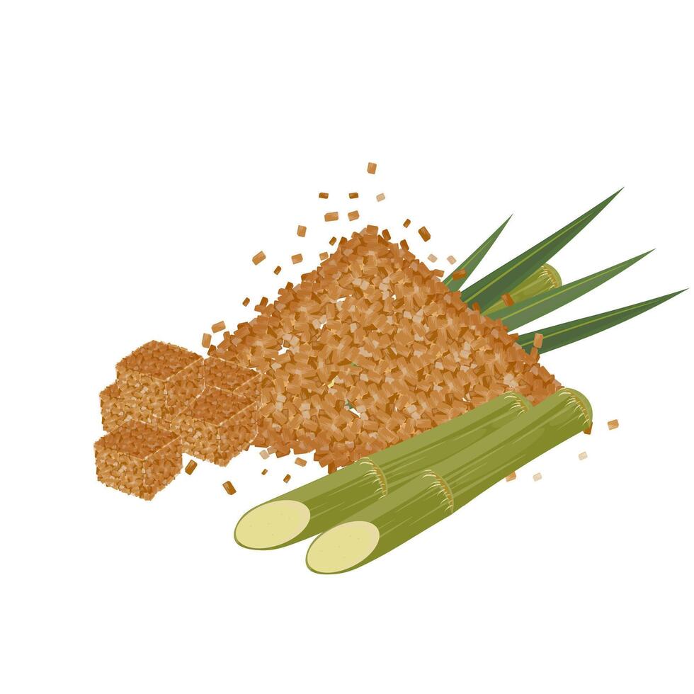 Vector illustration logo of brown sugar with sugar cane