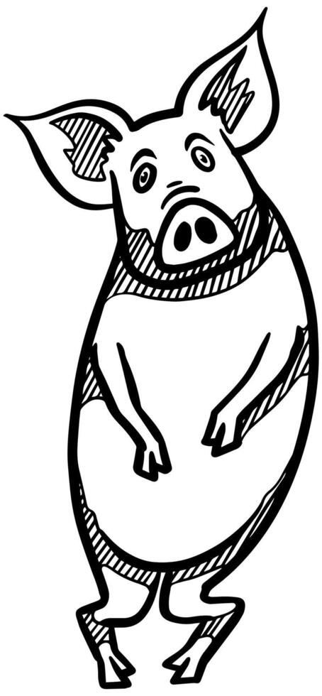 Hand drawing standing pig. Vector illustration.