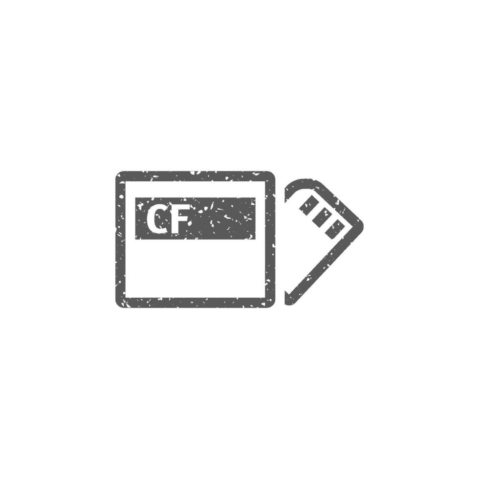 Compact flash and SD card icon in grunge texture vector illustration