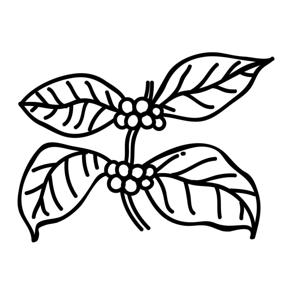 Coffee plant icon. Hand drawn vector illustration. Editable line stroke