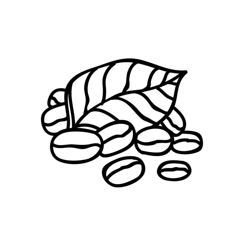 Coffee bean and leaves icon. Hand drawn vector illustration. Editable line stroke