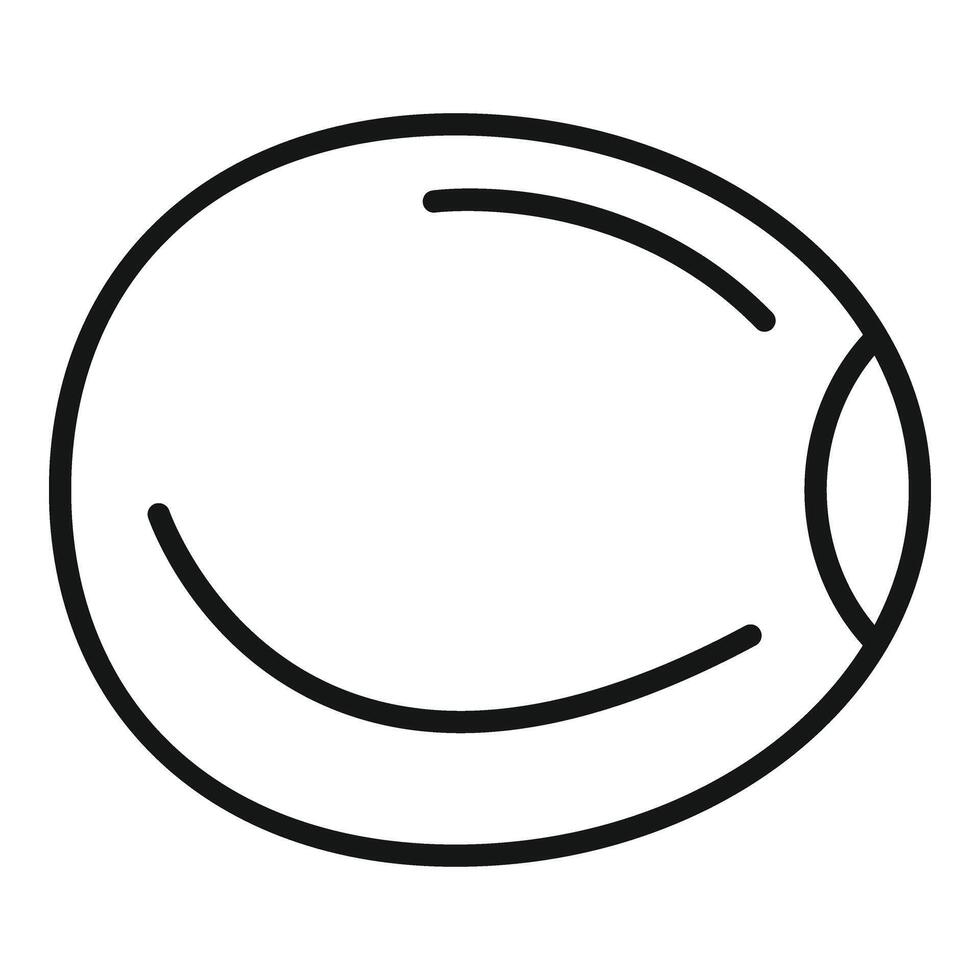 Healthy eco lentil icon outline vector. Sesame grain vector