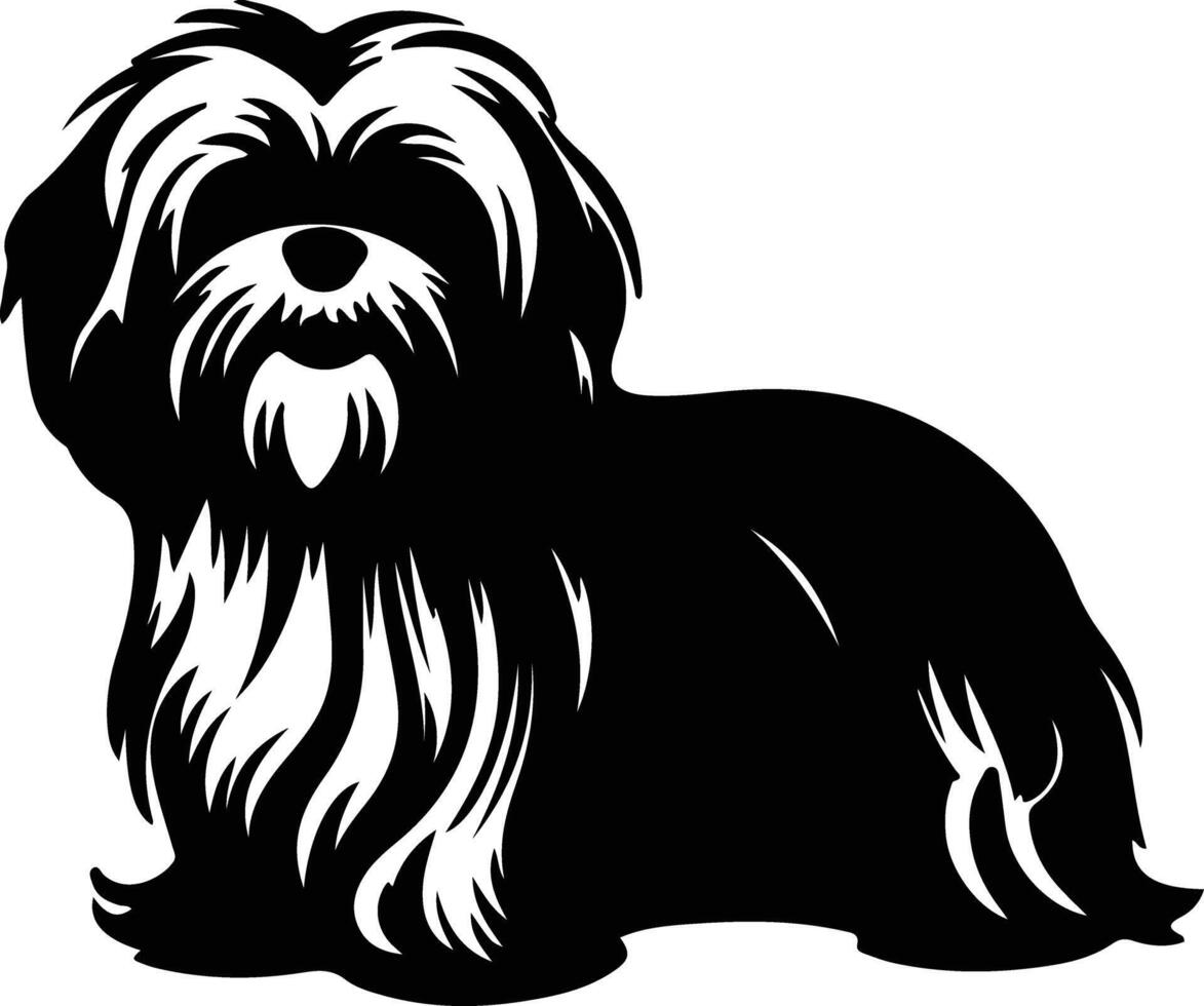 lhasa apso negro silueta vector