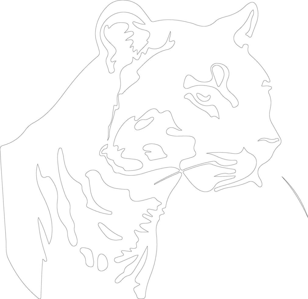 cougar outline silhouette vector