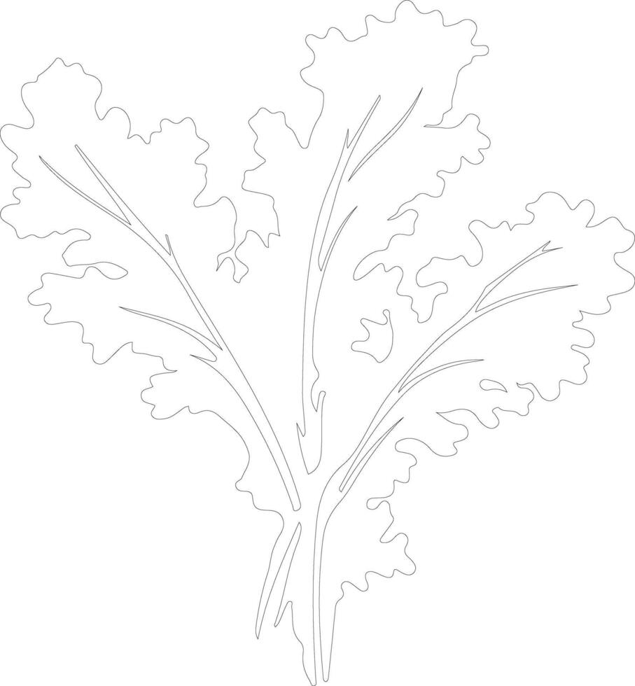 mustard greens  outline silhouette vector