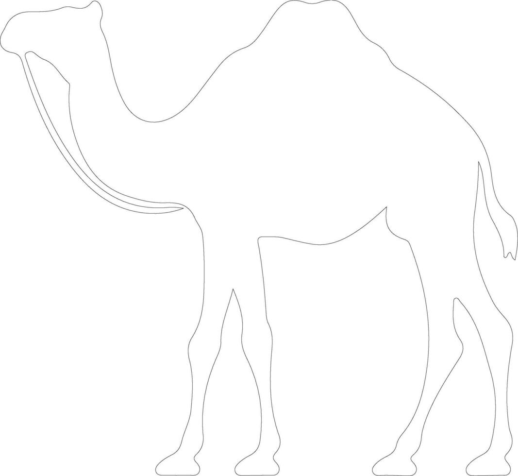 camel outline silhouette vector