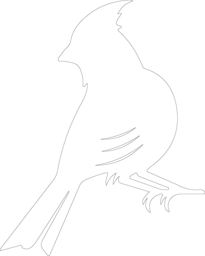 cardenal contorno silueta vector