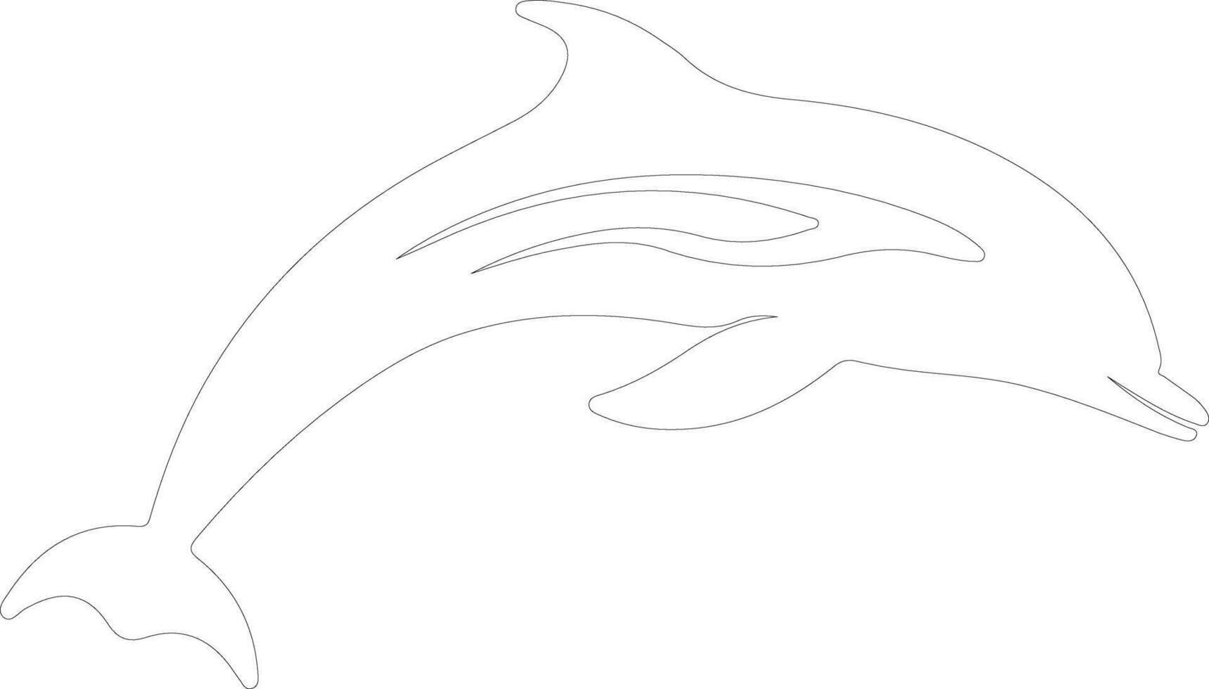 dolphin   outline silhouette vector