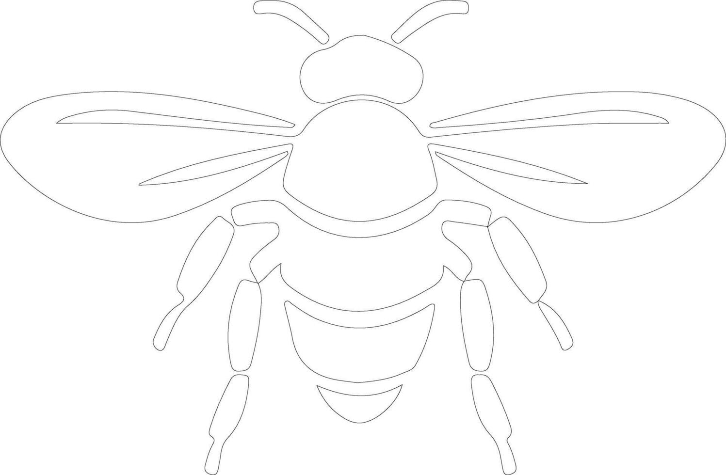 bee  outline silhouette vector