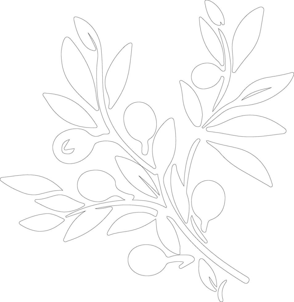 olive  outline silhouette vector