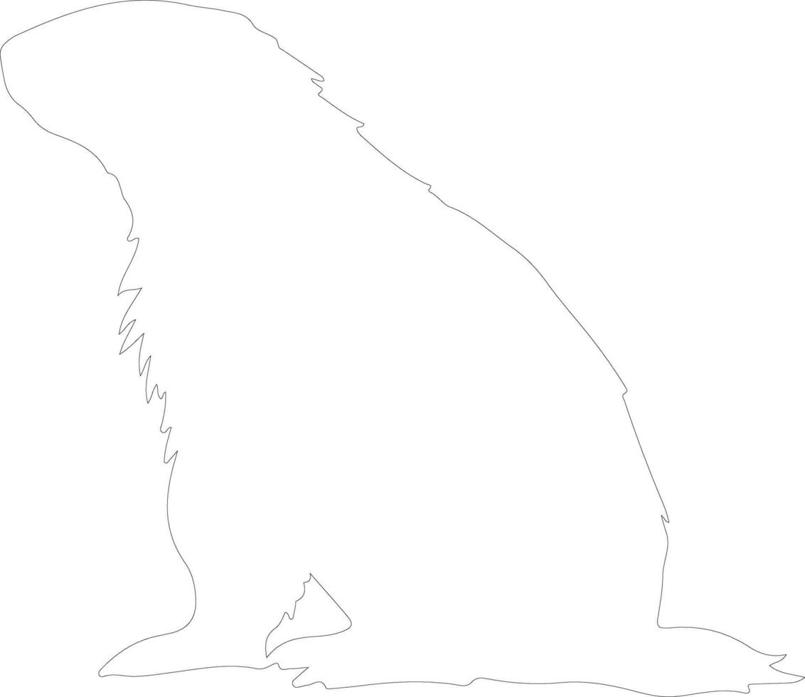 marmot  outline silhouette vector