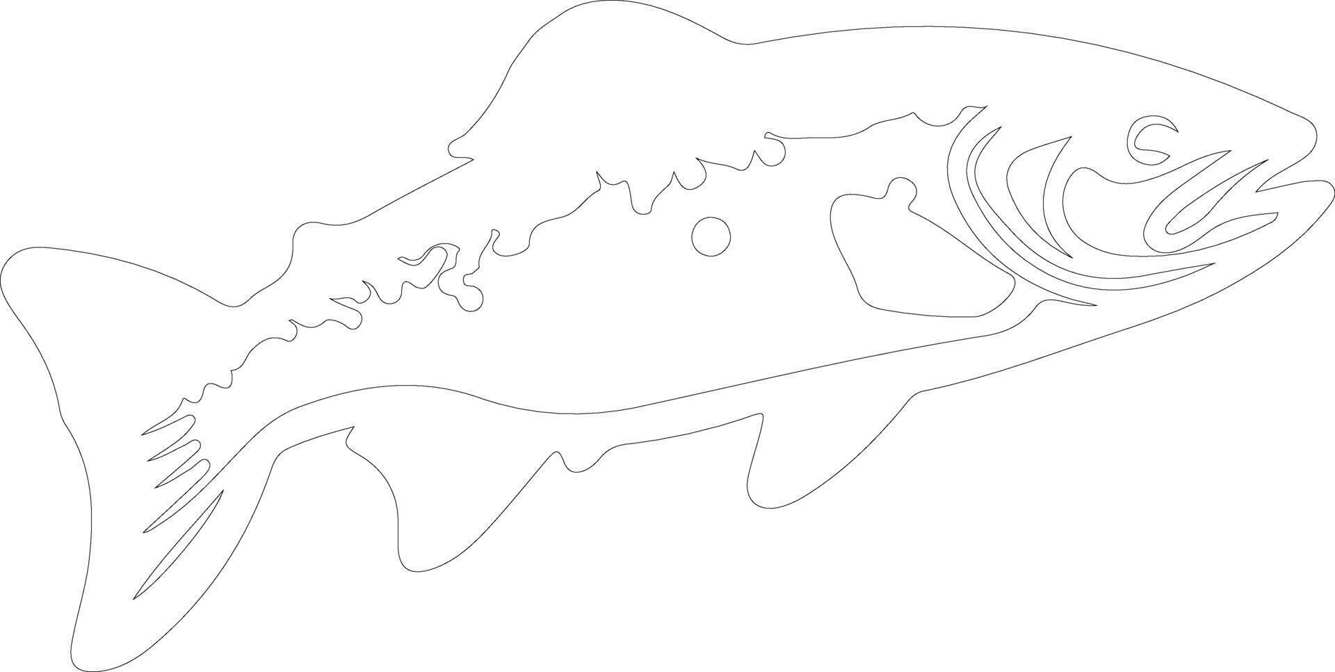 trout    outline silhouette vector