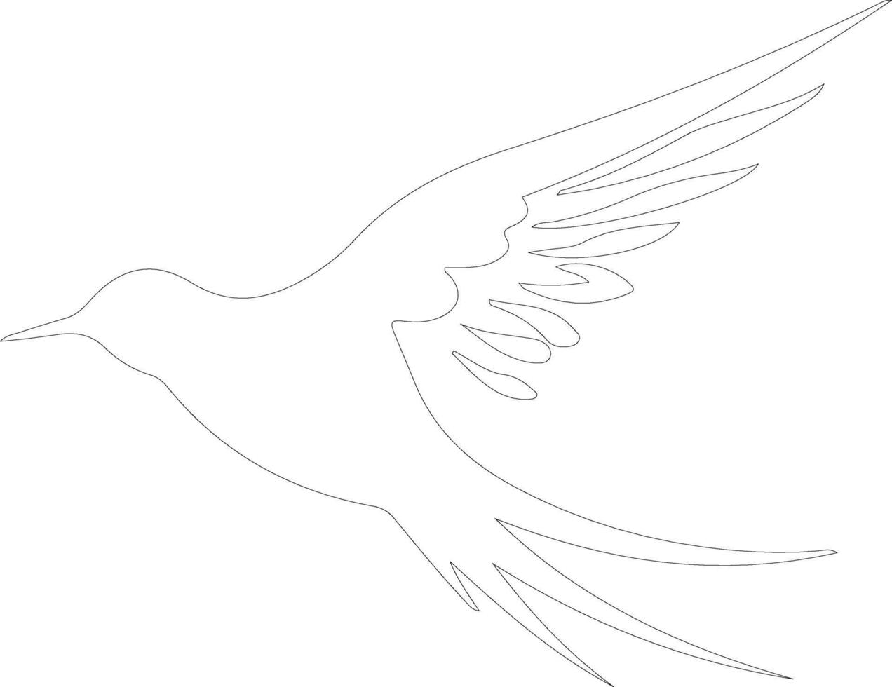 tern outline silhouette vector