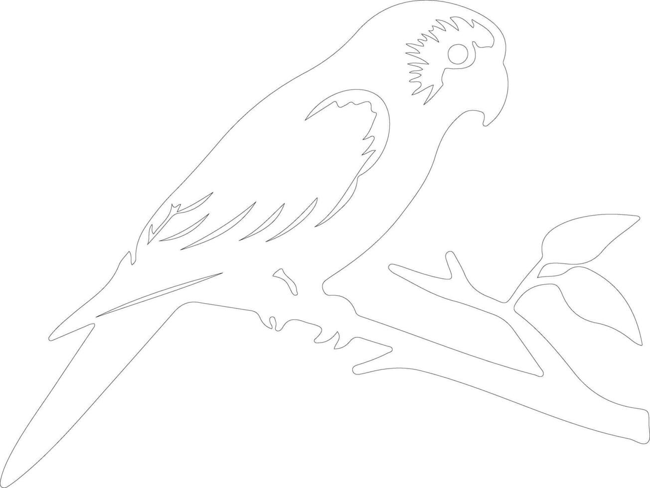 lorikeet  outline silhouette vector