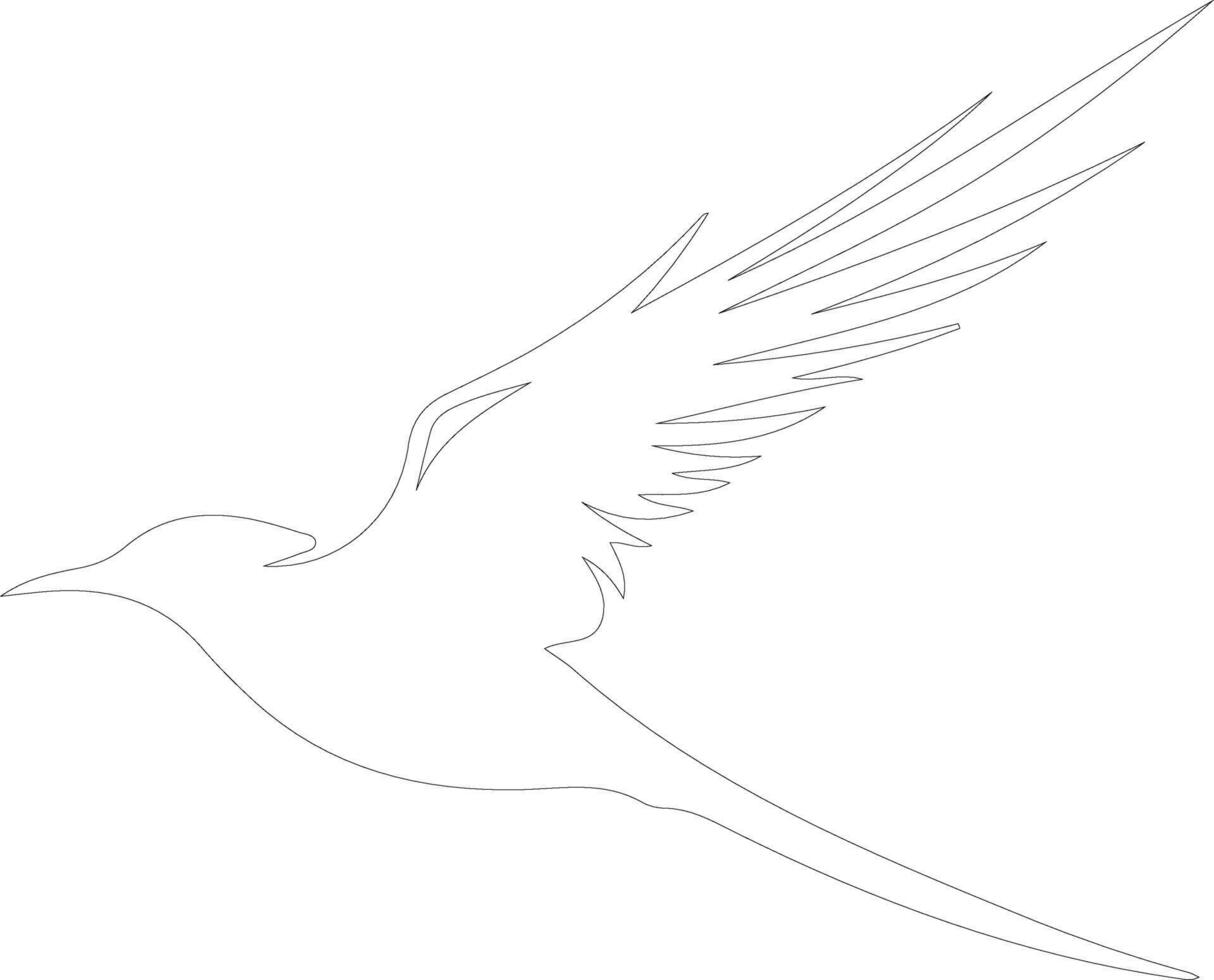 Arctic tern  outline silhouette vector