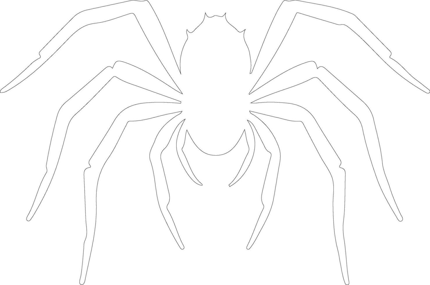 spider   outline silhouette vector