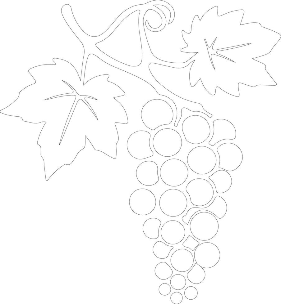 raisin outline silhouette vector