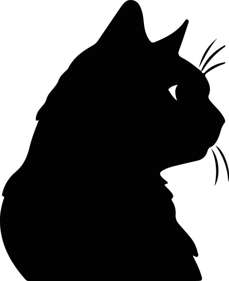 British Shorthair Cat  silhouette portrait vector