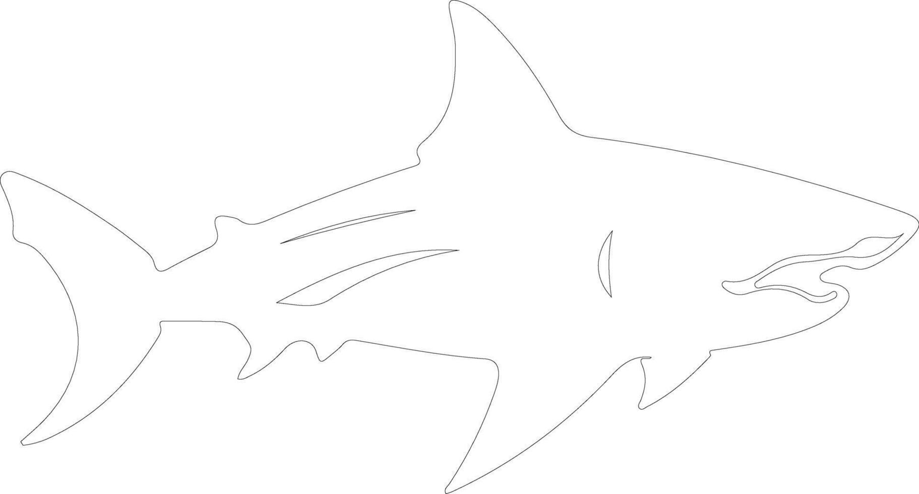 bullshark outline silhouette vector