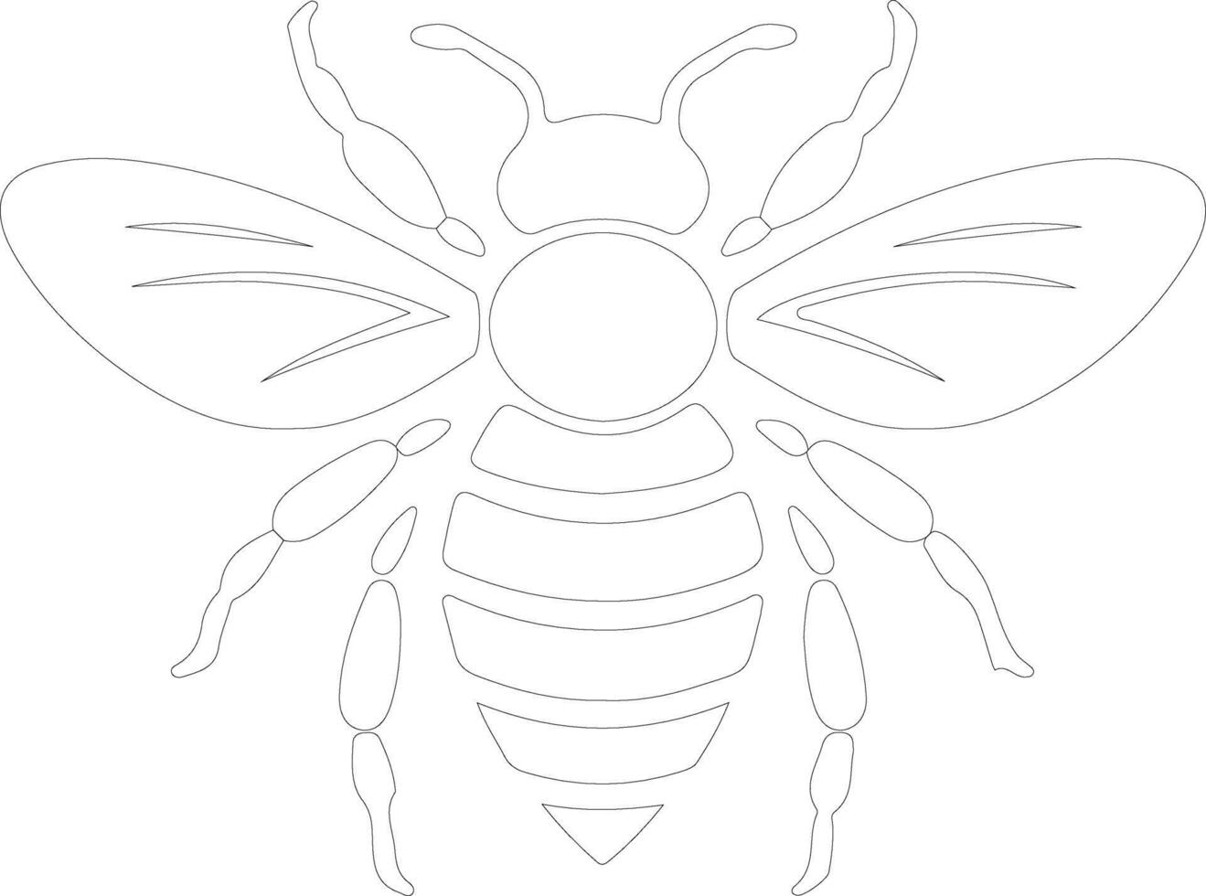 honey bee  outline silhouette vector