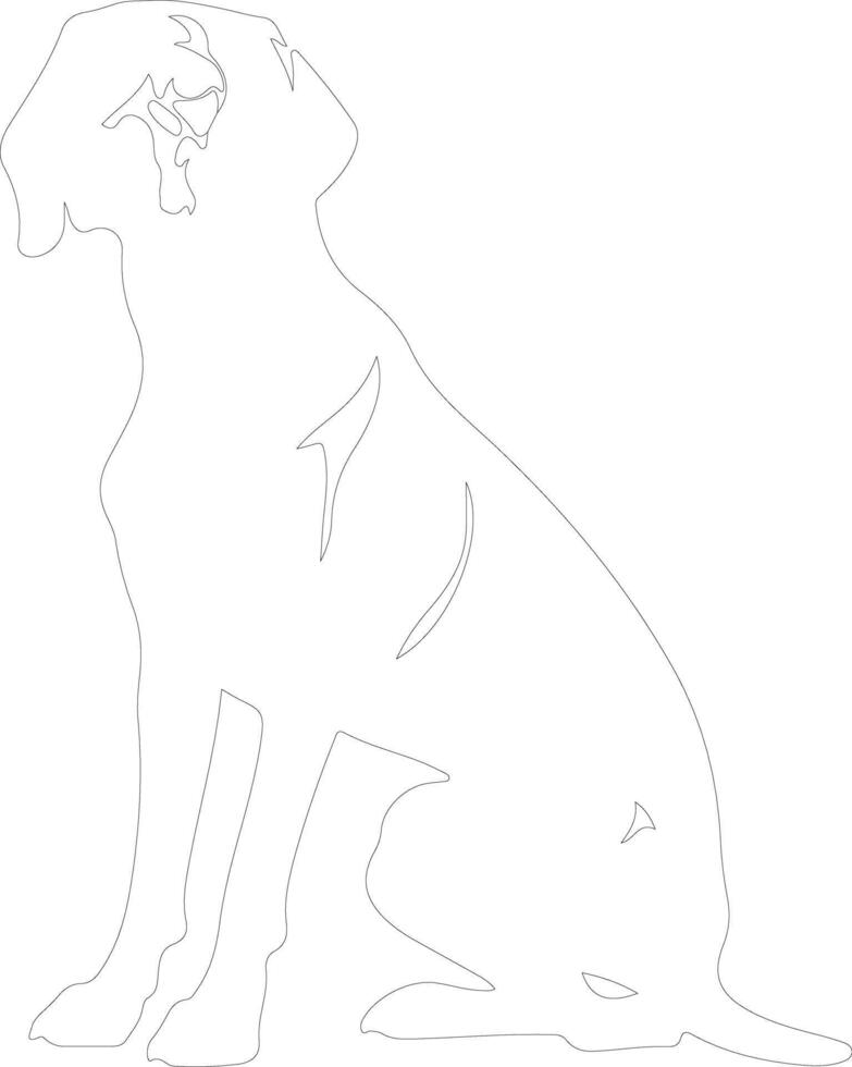 Vizsla outline silhouette vector