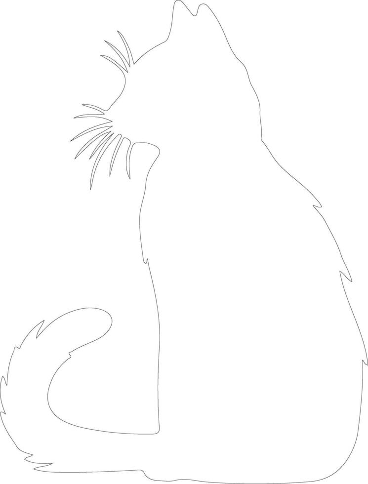 Pixiebob Cat  outline silhouette vector
