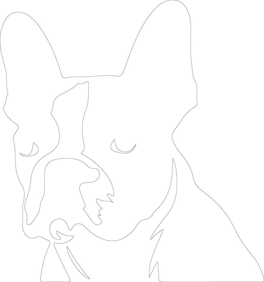 Boston Terrier  outline silhouette vector