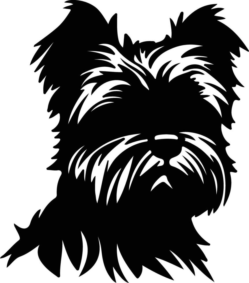 affenpinscher negro silueta vector