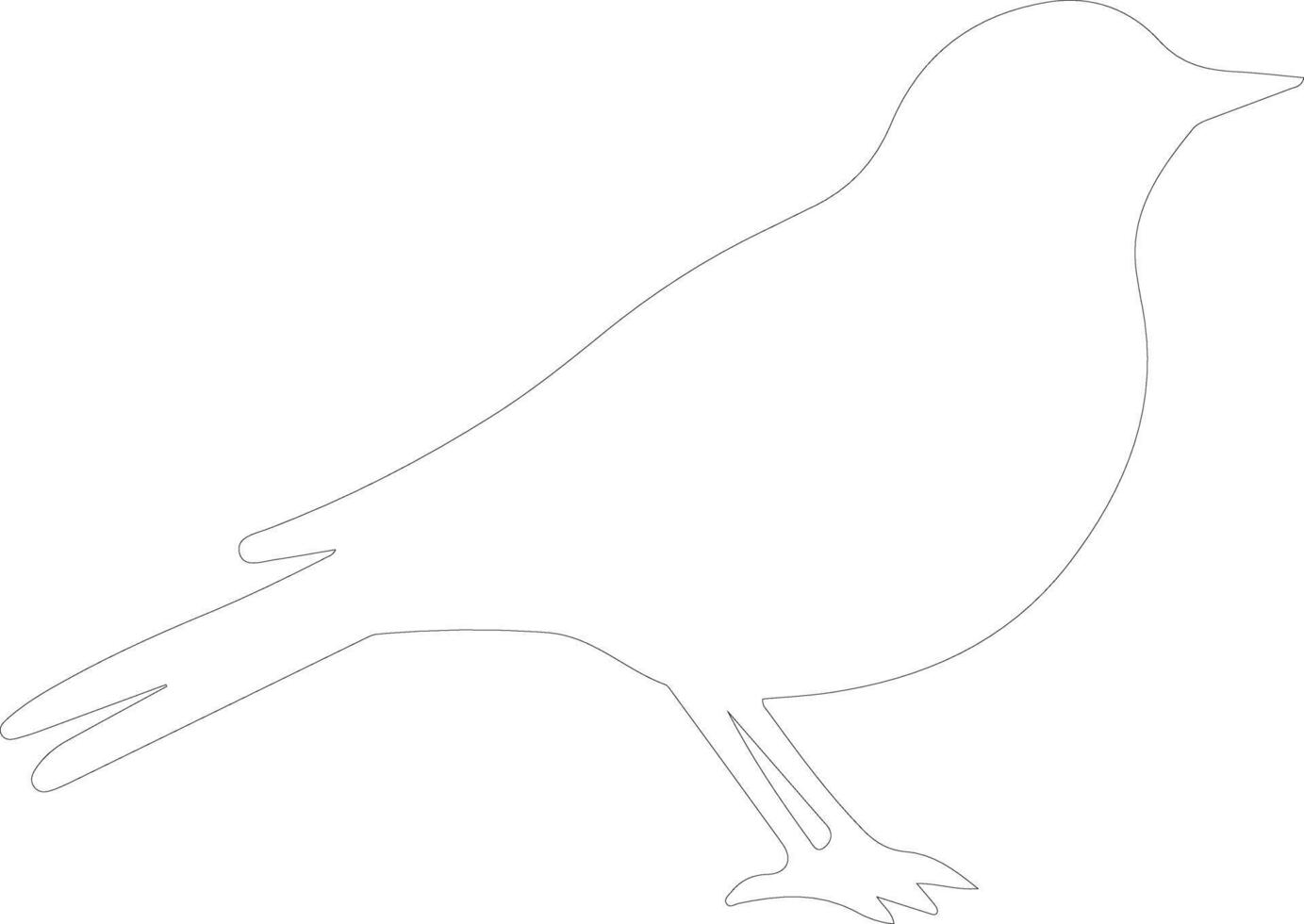 American Robin  outline silhouette vector