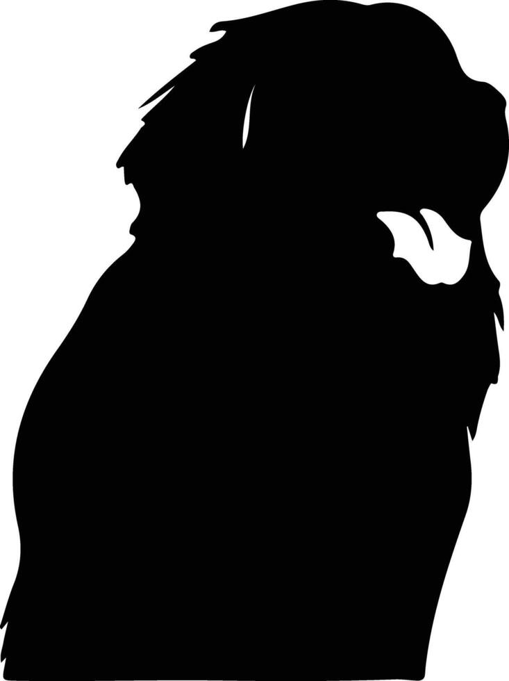 Leonberger    black silhouette vector