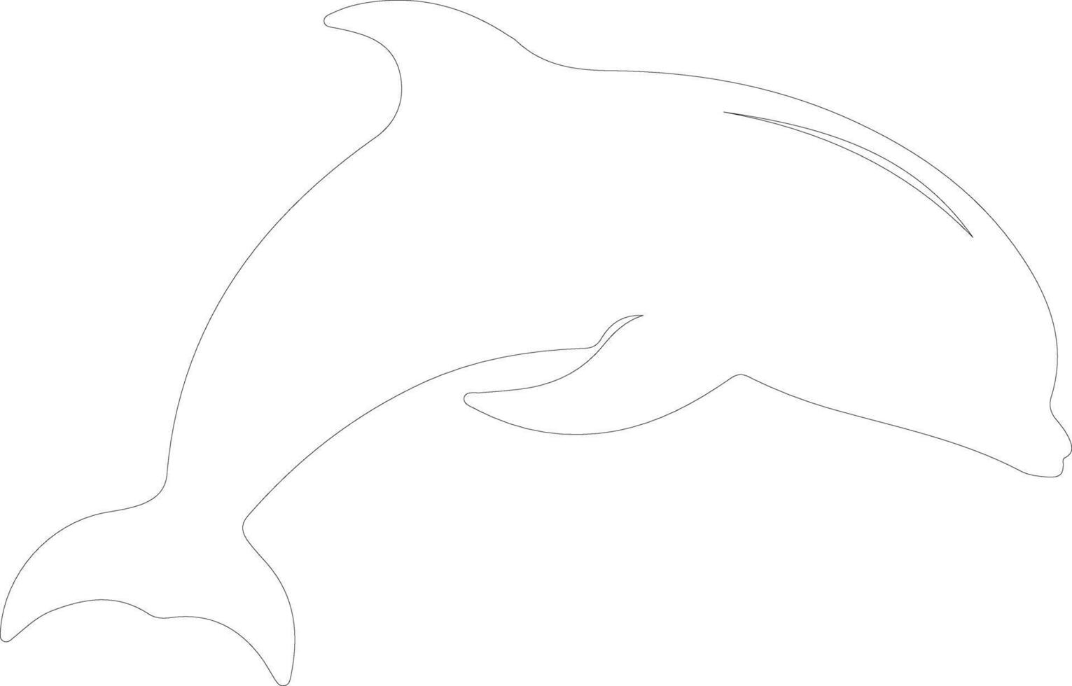 beluga whale  outline silhouette vector