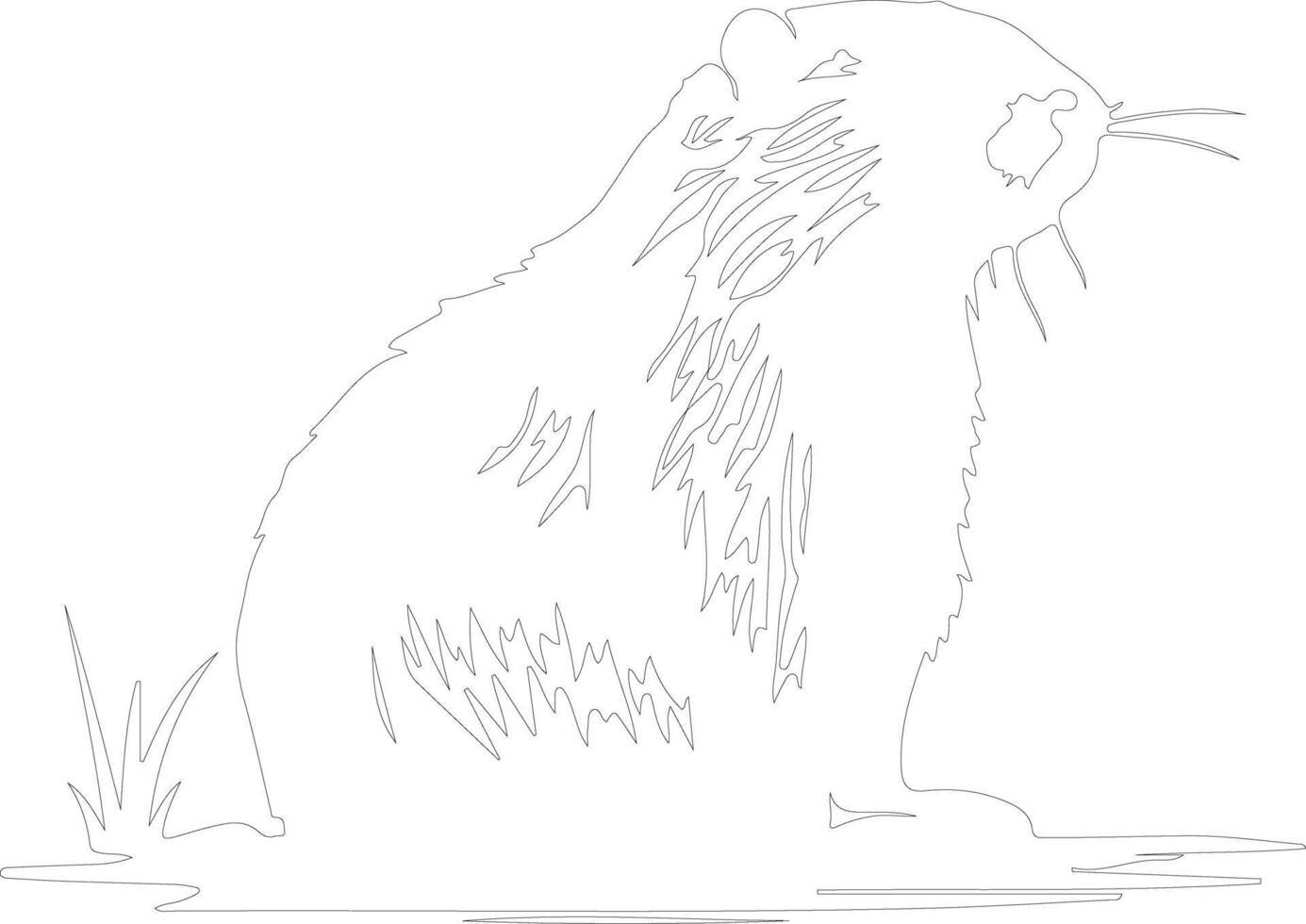 nutria  outline silhouette vector