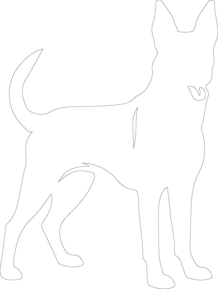 Belgian Malinois  outline silhouette vector