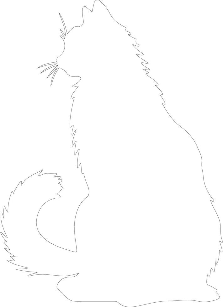 Somali Cat outline silhouette vector