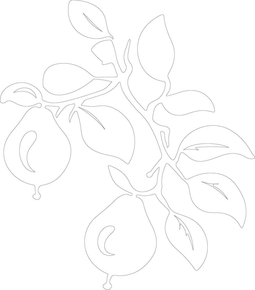 quince  outline silhouette vector