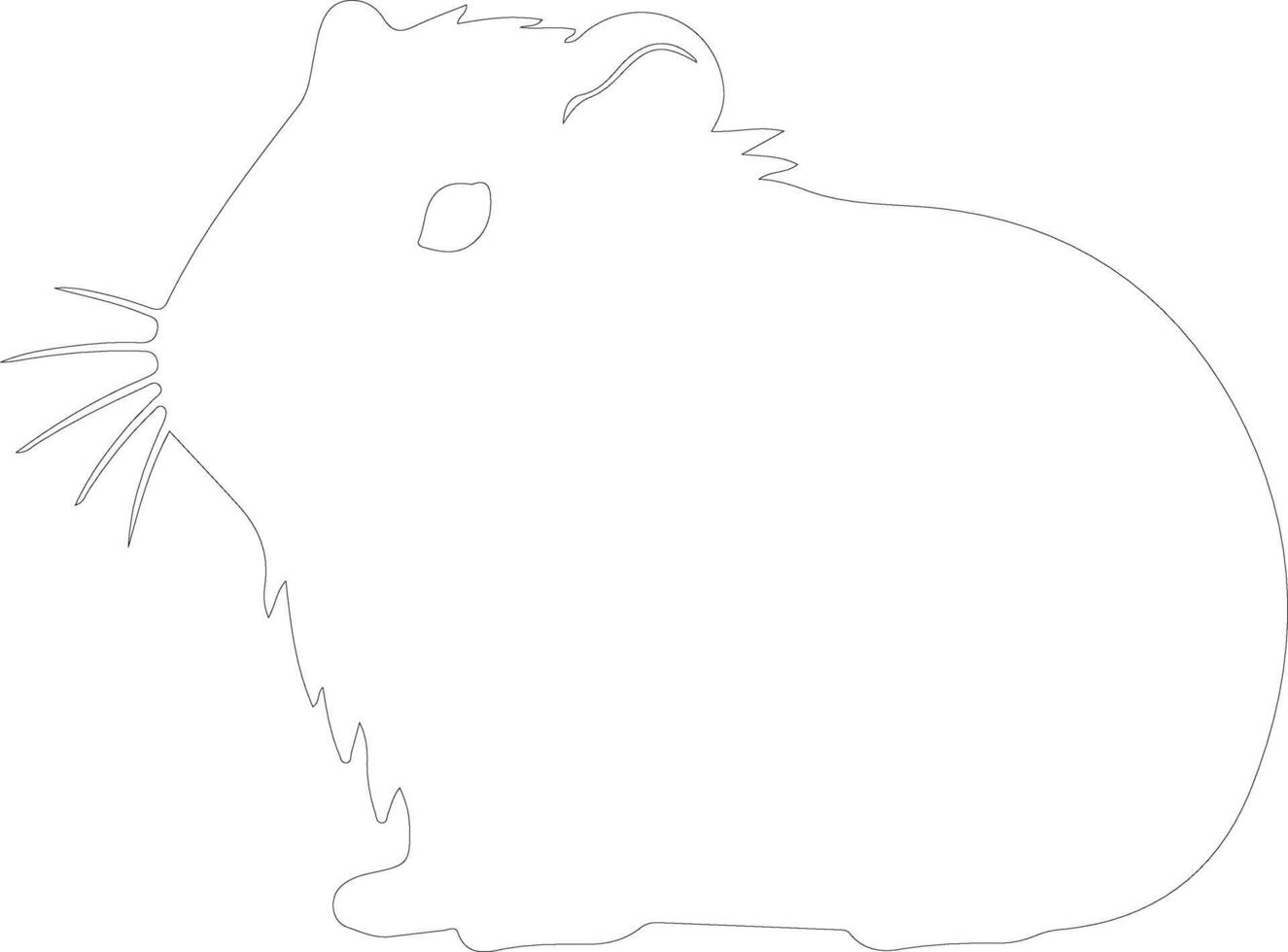 cavy outline silhouette vector