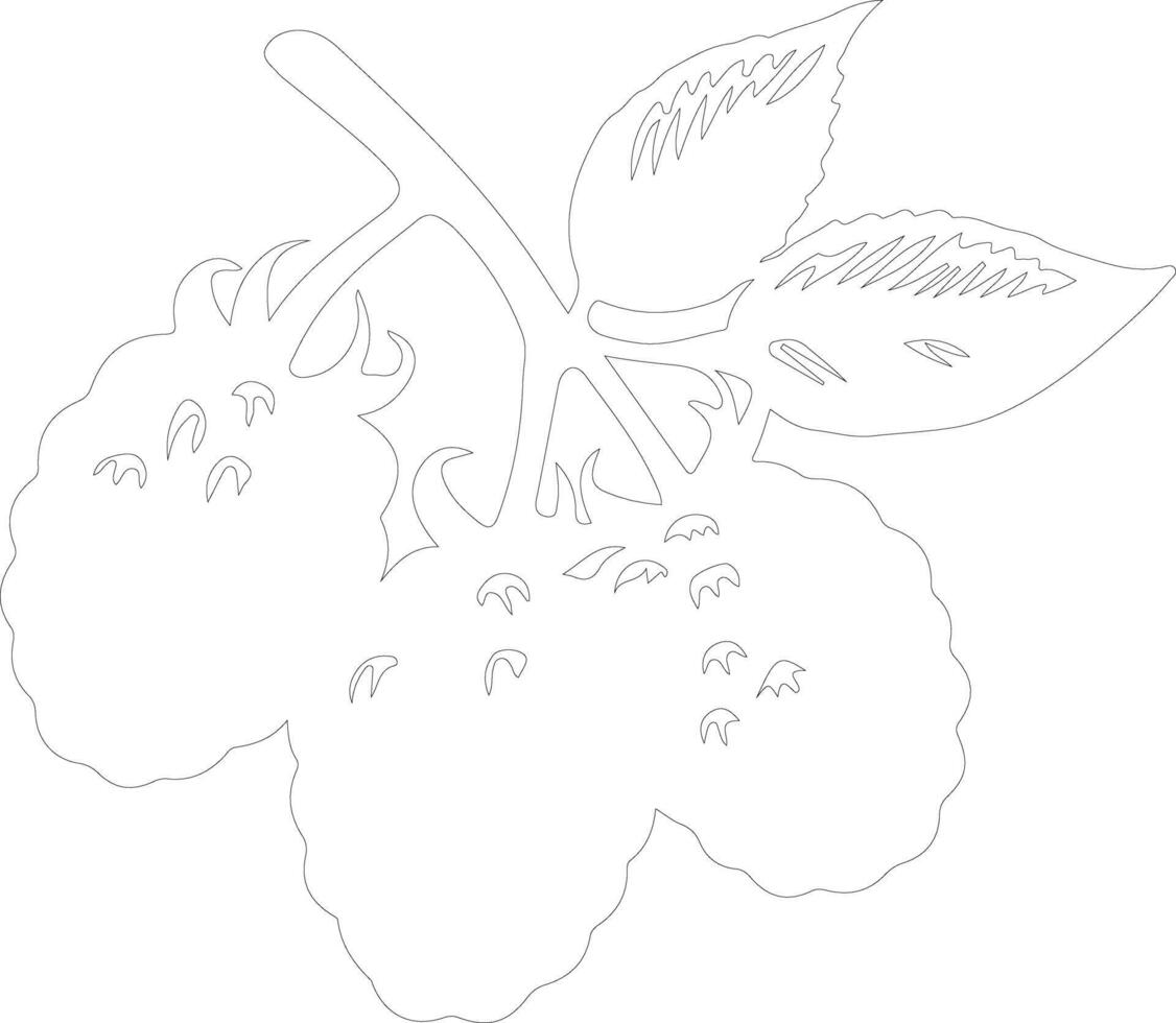 berry  outline silhouette vector