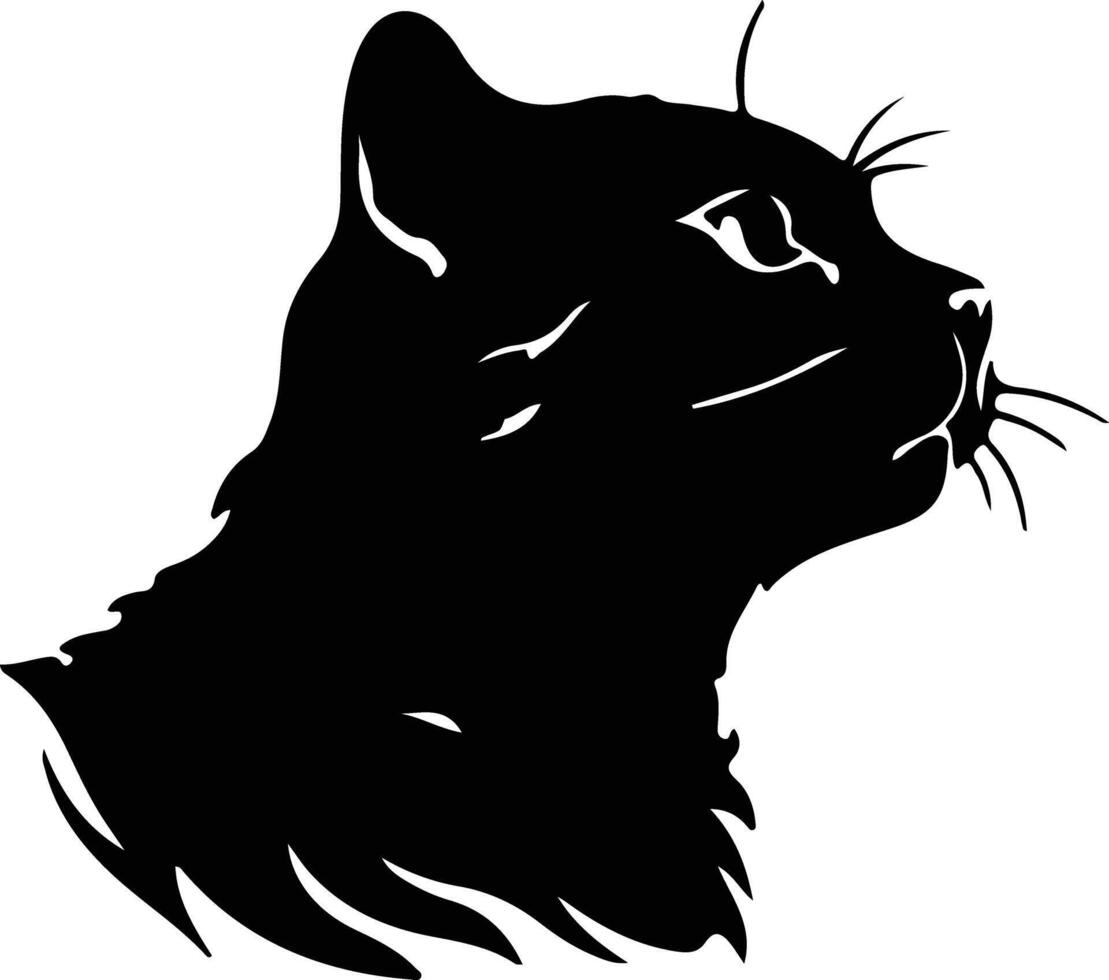 Scottish Fold Cat  silhouette portrait vector