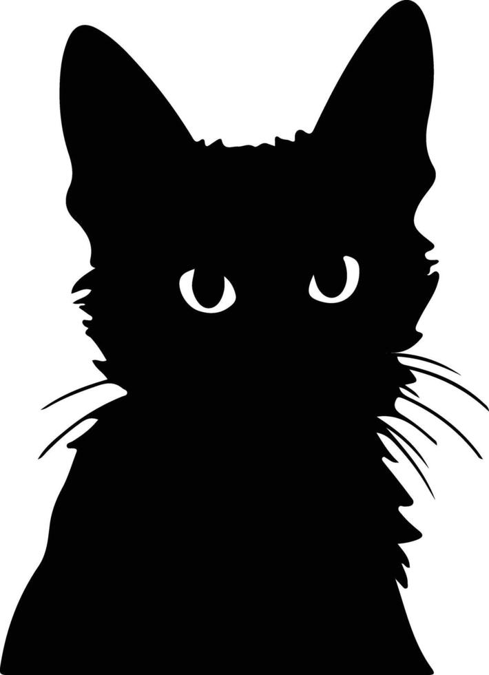 Bambino Cat  silhouette portrait vector