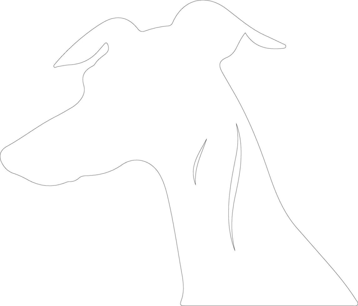 Whippet outline silhouette vector