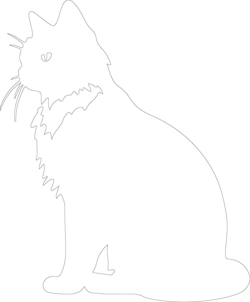 Snowshoe Cat outline silhouette vector